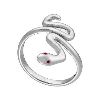 Δαχτυλίδι από ανοξείδωτο ατσάλι, φίδι σε ασημί με κόκκινα μάτια